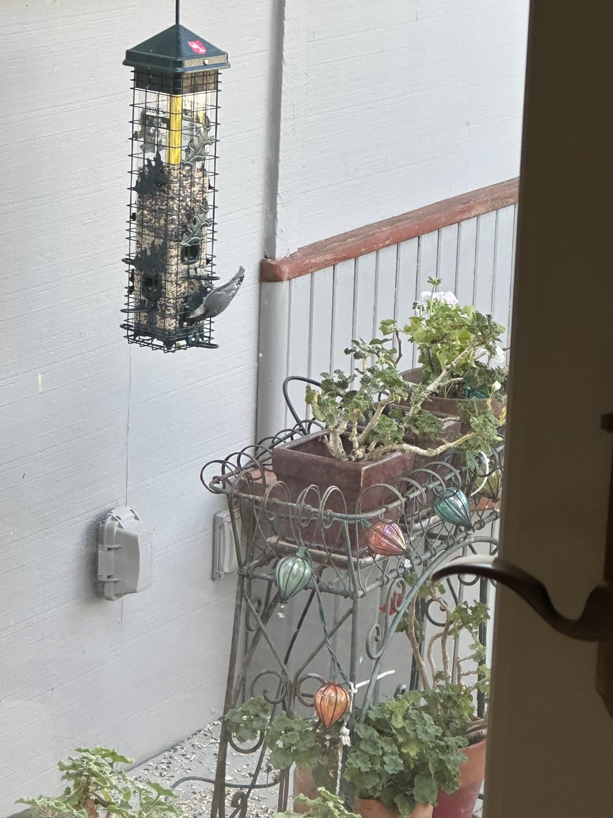 Squirrel Solution200 Squirrel-proof Bird Feeder w/6 Feeding Ports, 3.4-pound Seed Capacity, Free Seed Funnel customer photo 1