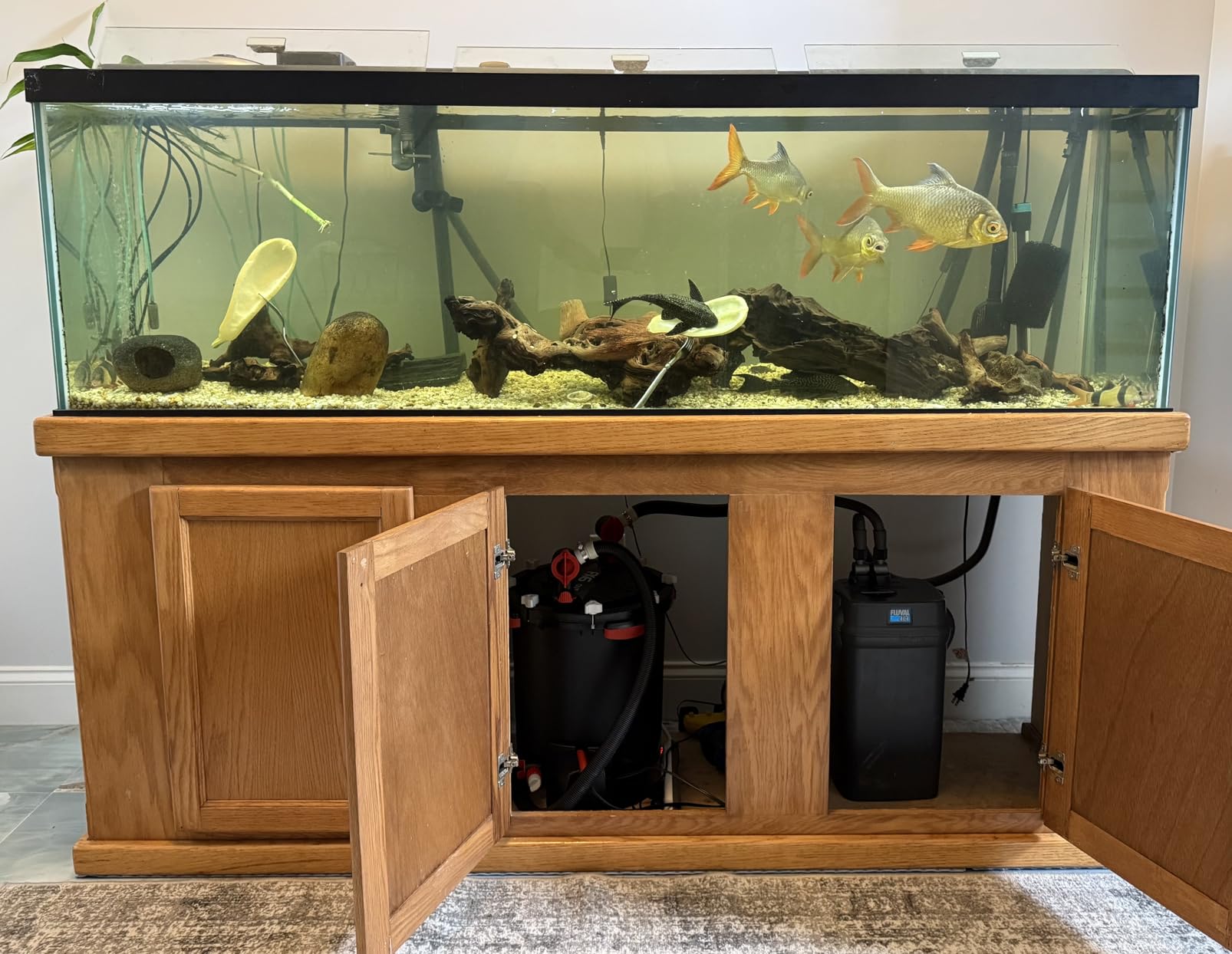 Fluval FX6 High Performance Aquarium Filter, up to 400 Gal. | Canister Filter for Aquariums customer photo 2
