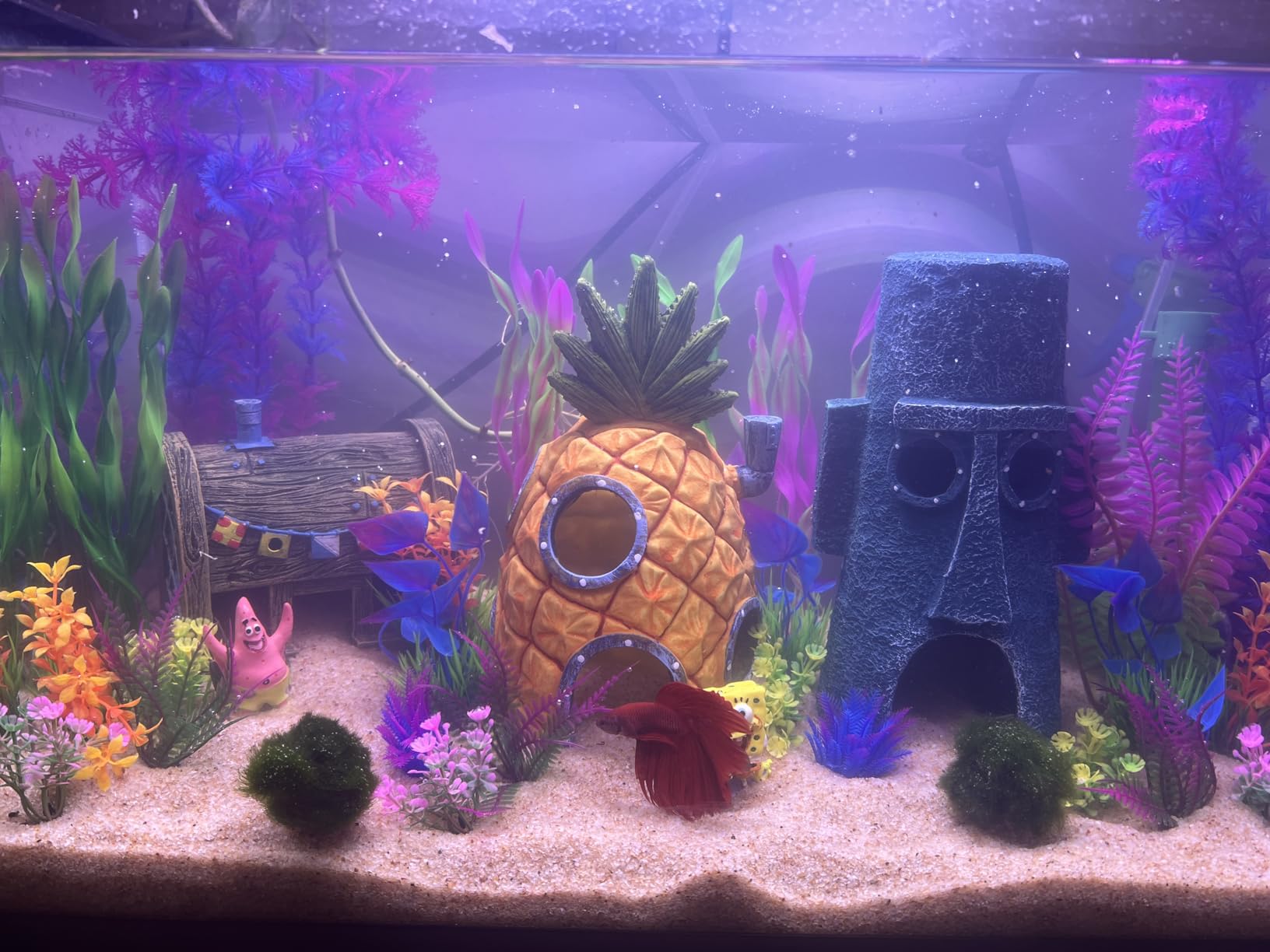 Penn-Plax Spongebob and Pineapple House Aquarium Ornament | 2 Piece Set | Great for Fresh or Salt Water Tanks customer photo 1