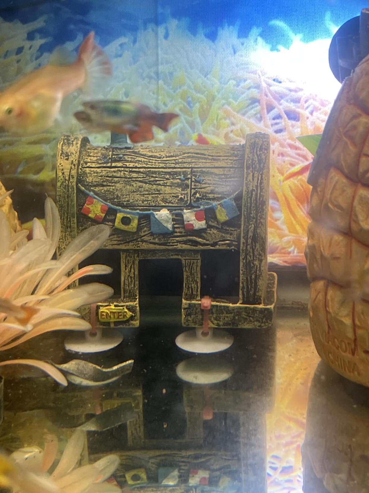 Penn-Plax Spongebob and Pineapple House Aquarium Ornament | 2 Piece Set | Great for Fresh or Salt Water Tanks customer photo 2