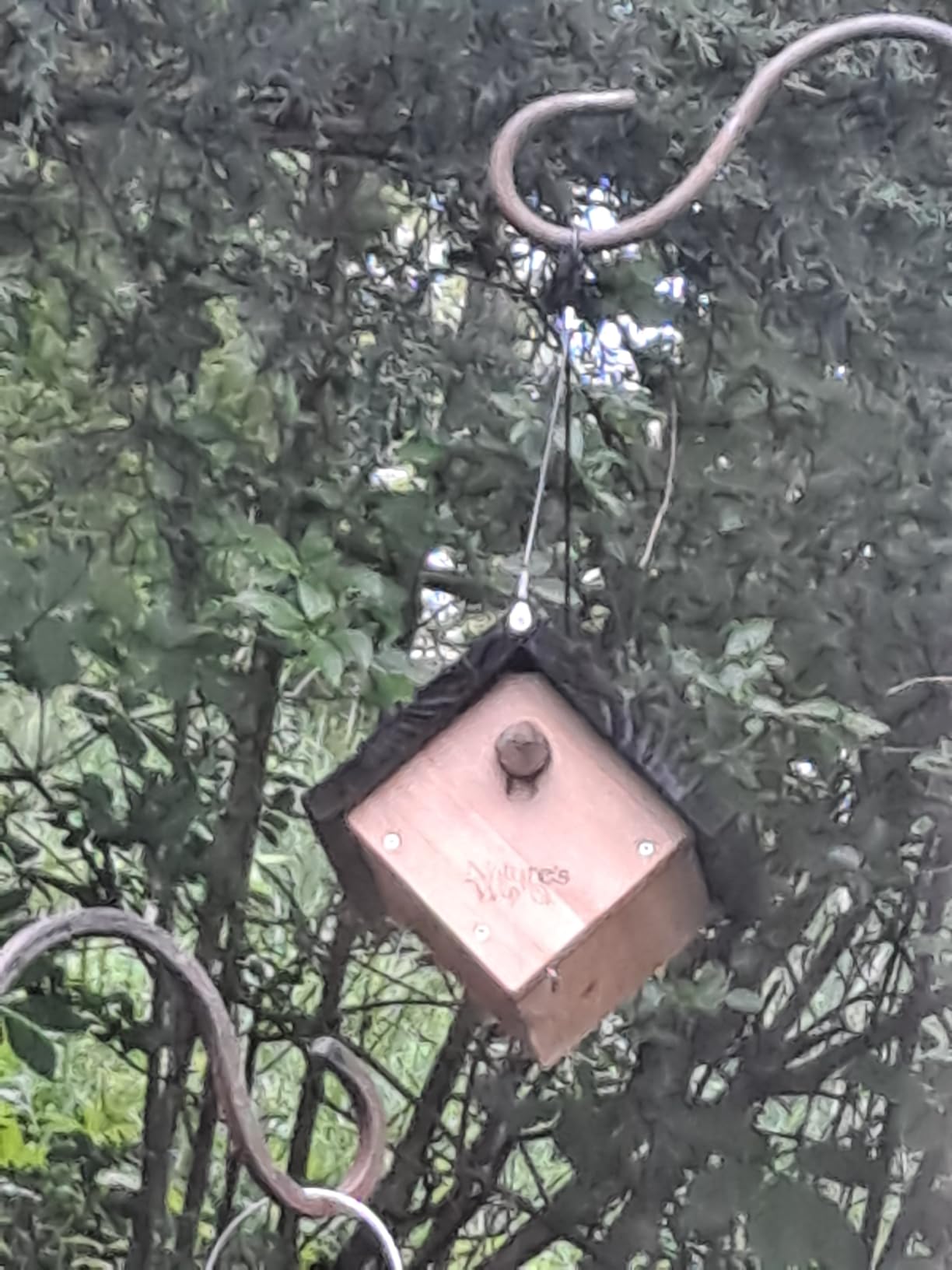 Nature's Way Bird Products CWH1 Cedar Wren House, 8