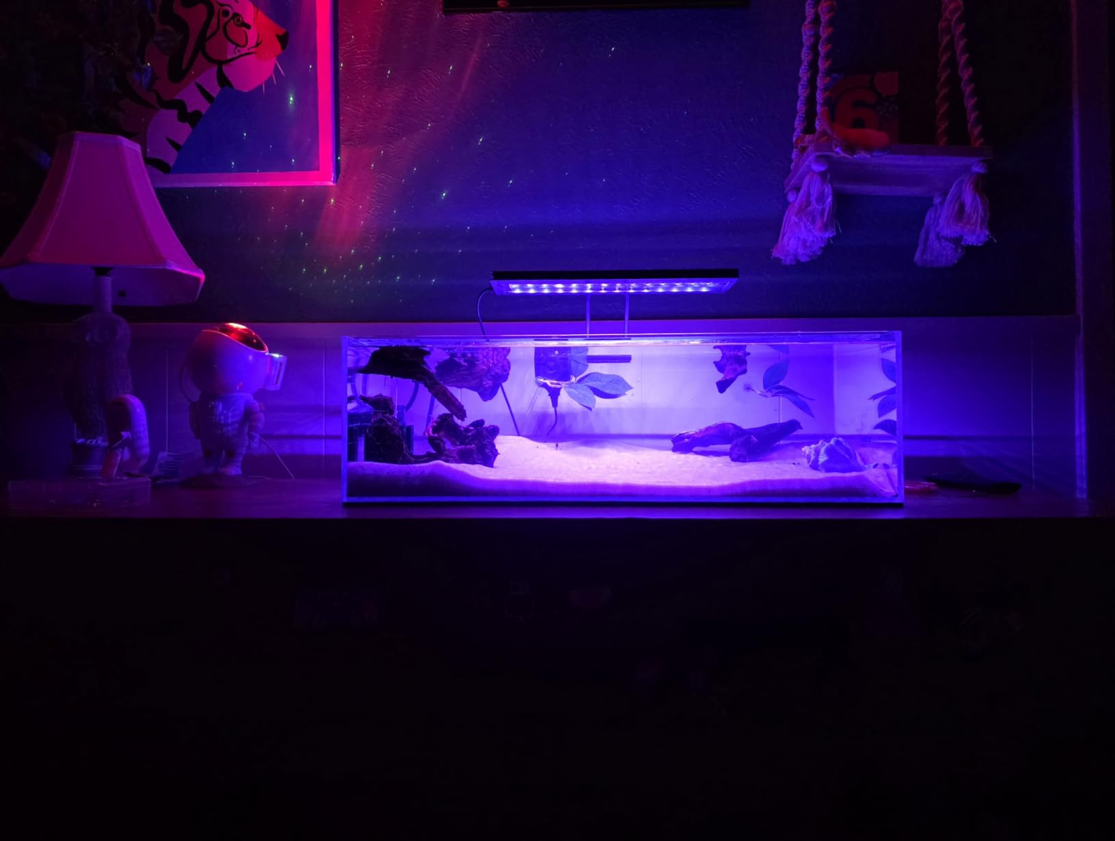 LANDEN Aquarium Cube 6.6 Gallon Ultra Clear Glass Rimless Fish Tank 30C customer photo 1