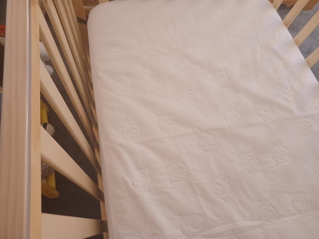 Dream On Me Synergy 5-in-1 Crib, Toddler Bed in Natural customer photo 1