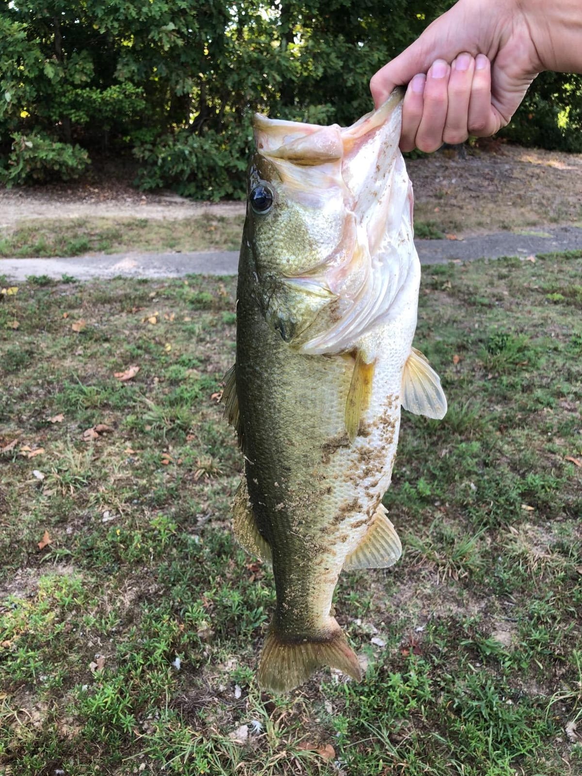 Berkley PowerBait Power Worms Fishing Soft Bait customer photo 1