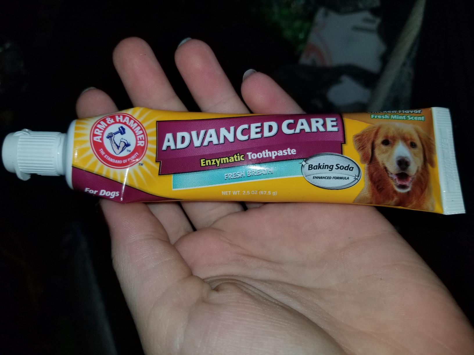 Arm & Hammer Enzymatic Dog Dental Care Kit, Chicken Flavor, 2.5 Oz Tube customer photo 2