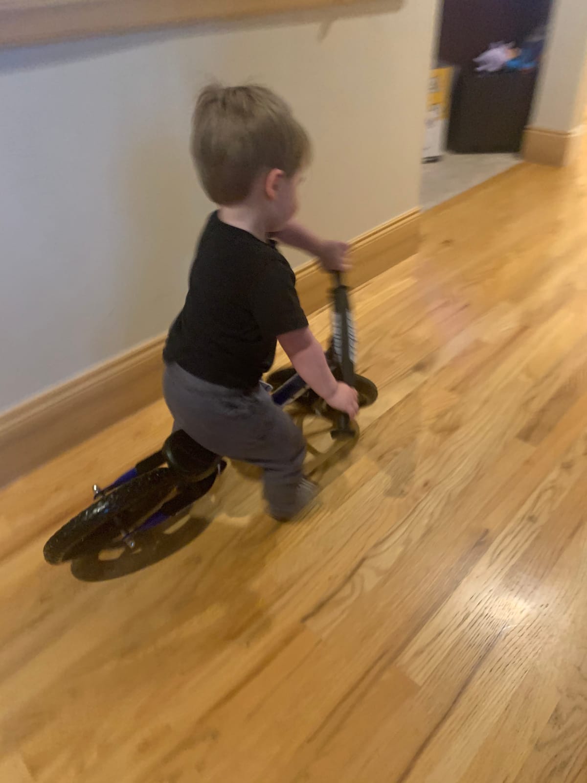 Strider 12 Sport, No Pedal Balance Bike for Kids Ages 1-4 Years, Blue | No-Pedal Balance Bike for Toddlers, Safety Pad, Adjustable Seat and Handlebars Lightweight Frame, Never-Flat Tires customer photo 1