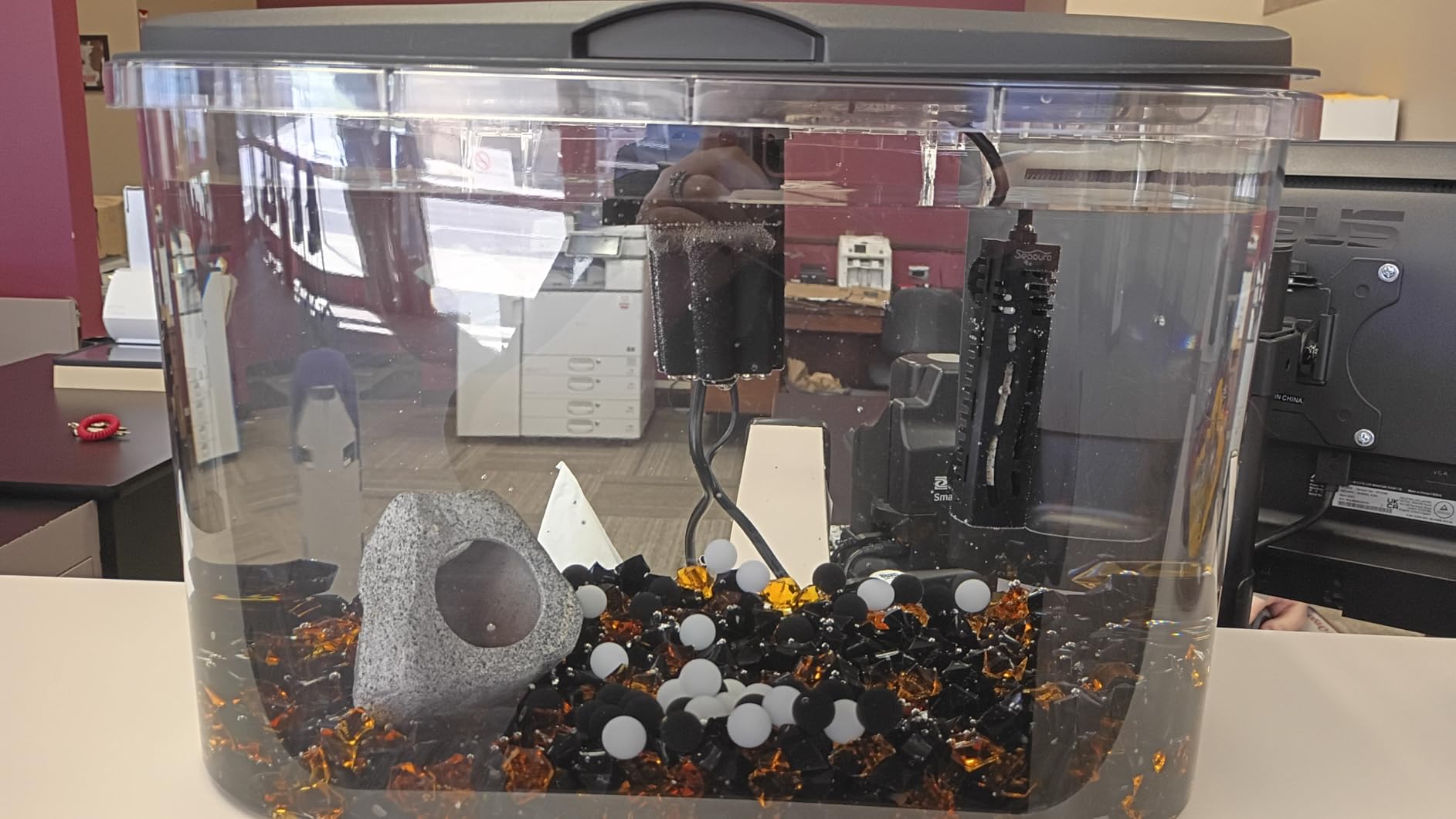 Koller Products 5-Gallon Aquarium Kit with LED Lighting and Power Filter, Ideal for a Variety of Tropical Fish customer photo 2