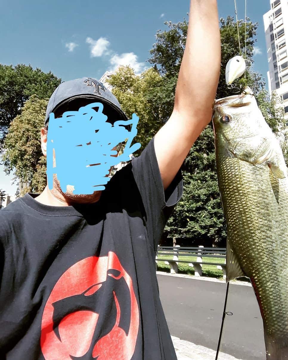 Strike King KVD 1.5 Shallow Square Bill Crankbait customer photo 1