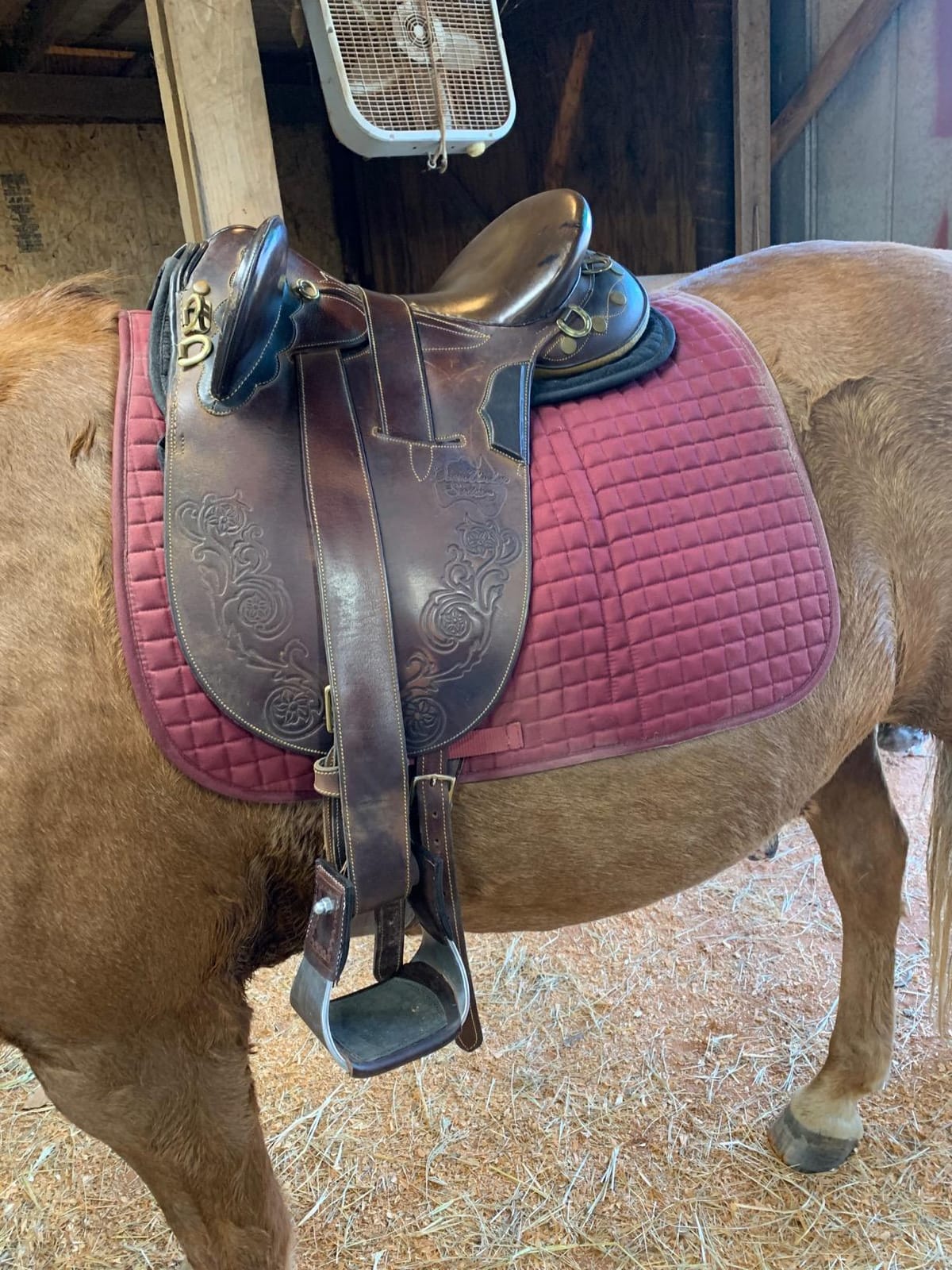 ECP Equine Comfort Products Adjustable Shock Absorbing Memory Foam Half Saddle Pad, Injury Prevention & Pressure Relief, Customizable Fit, Breathable for All Riding Styles customer photo 1