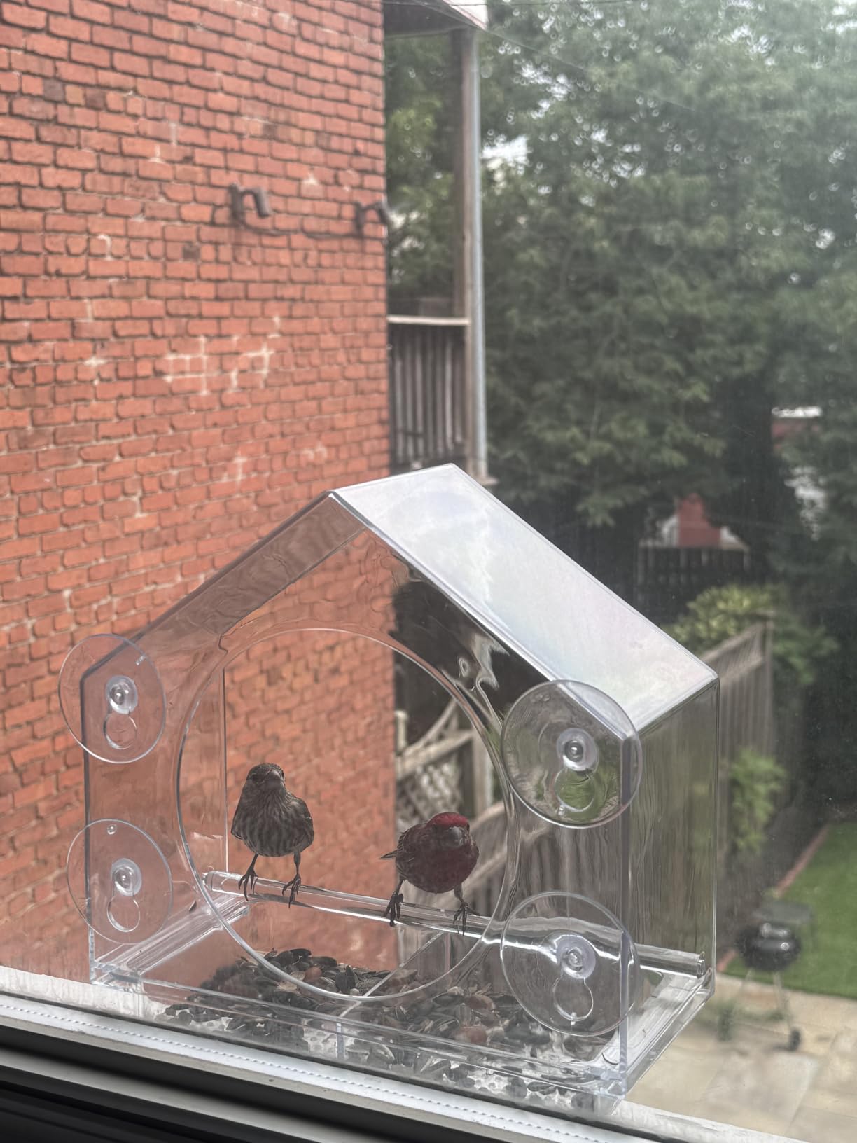 Window Bird Feeder with Strong Suction Cups, Bird Feeders for Outdoors | Clear window bird feeder, works as a balcony bird feeder too, no mess sliding seed tray, weatherproof acrylic, easy to clean customer photo 2