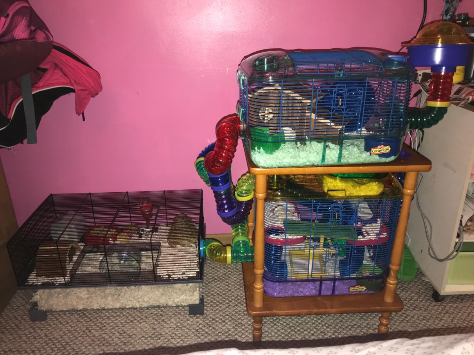 Ferplast Favola Hamster Cage Includes Free Water Bottle, Exercise Wheel, Food Dish & Hamster Hide-Out Large Hamster Cage Measures 23.6L x 14.4W x 11.8H-Inches customer photo 1