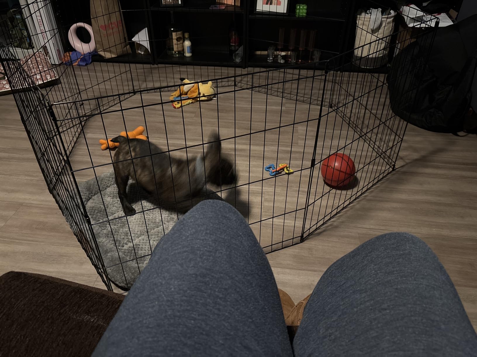 BestPet | Foldable Dog Playpen | 24 Inch, 8 Panels | Metal Pet Exercise Pen customer photo 2