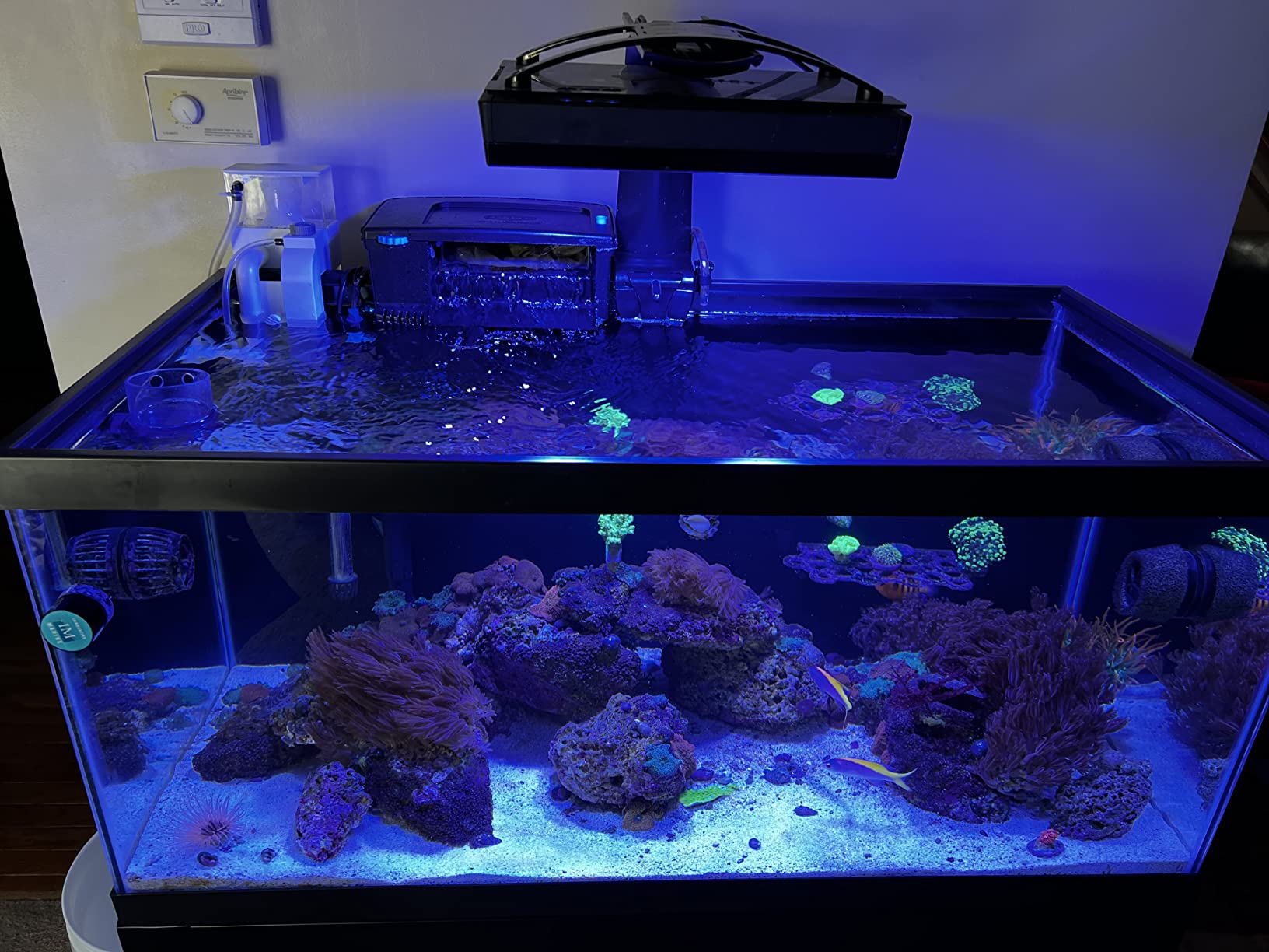 M-50 Mini Hang-on External Protein Skimmer, 53 Gallon customer photo 1