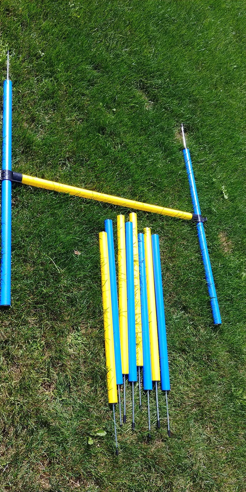 PawHut 4PC Obstacle Dog Agility Training Course Kit Backyard Competitive Equipment- Blue/Yellow customer photo 2