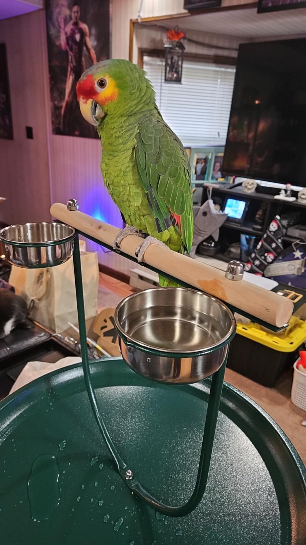 Pawhut 49
