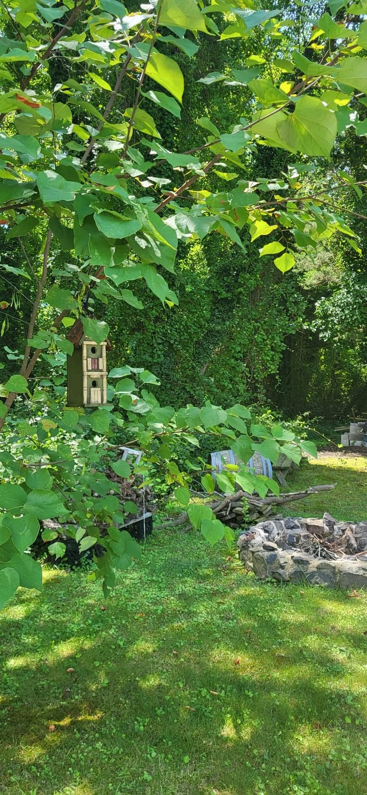 Glitzhome Bird Houses for Outside,10