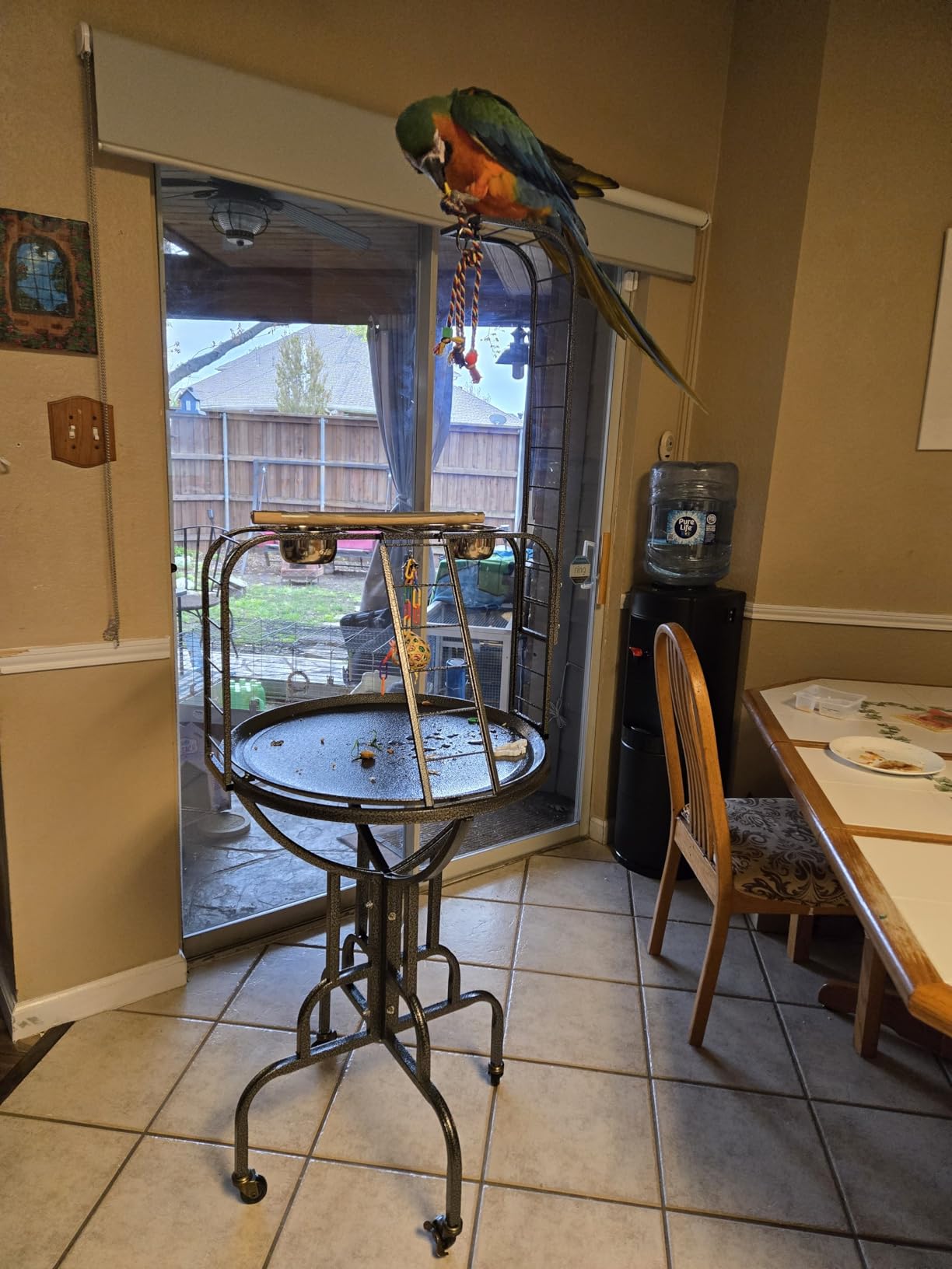 Elegant and Strong Durable Wrought Iron Parrot Bird Play Gym Ground Rolling Stand with Metal Climbing Play Ladder Easy Clean Removable Metal Pan Toy Hook Included customer photo 1