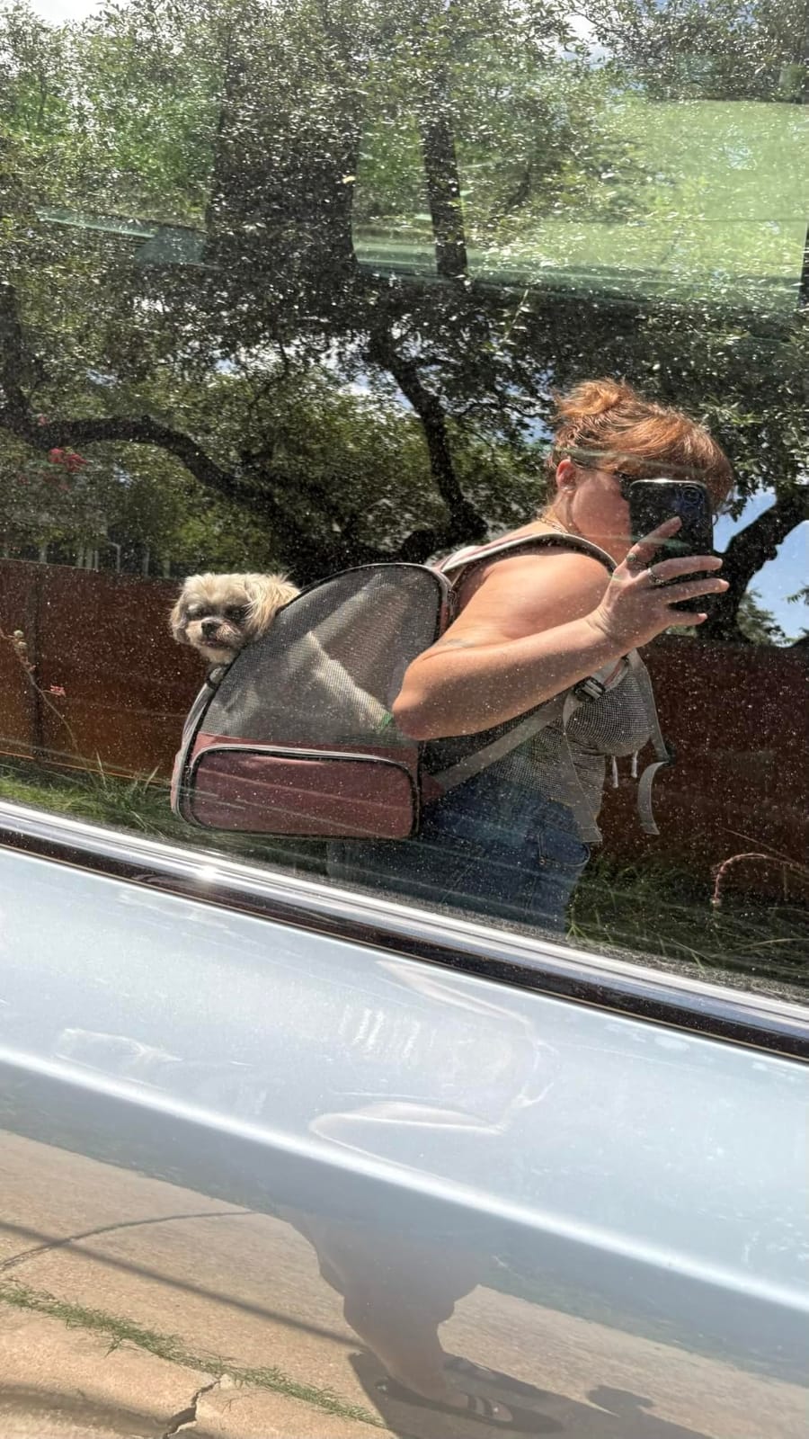 Texsens Innovative Traveler Bubble Backpack Pet Carriers for Cats and Dogs customer photo 1