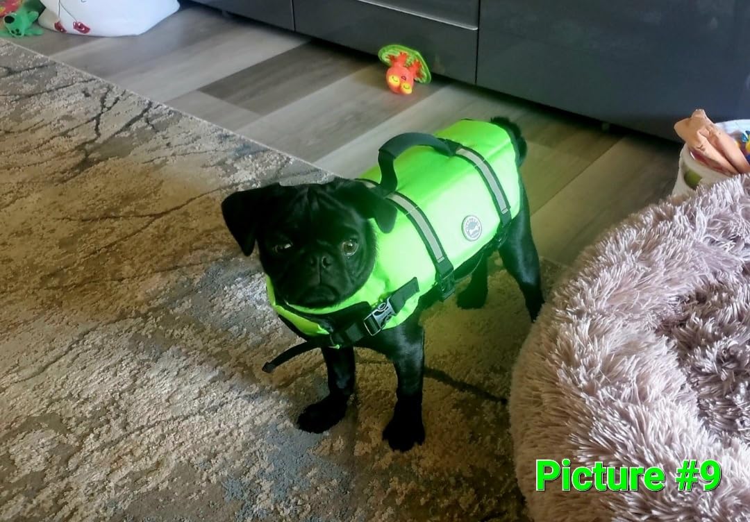 VIVAGLORY Dog Life Vest Rip Stop Dog Swim Vest, M, Bright Orange customer photo 1