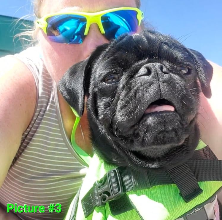 VIVAGLORY Dog Life Vest Rip Stop Dog Swim Vest, M, Bright Orange customer photo 2