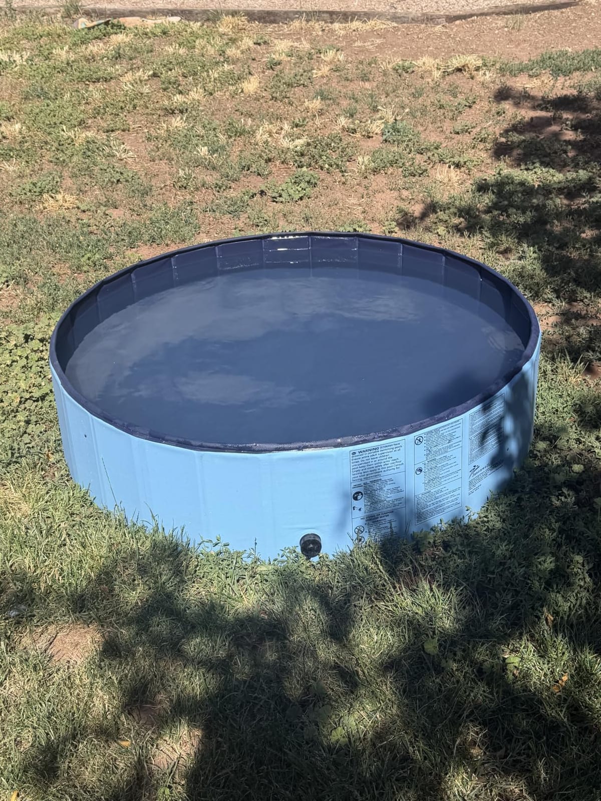 Jasonwell Foldable Dog Pet Bath Pool Collapsible Dog Pet Pool Bathing Tub Kiddie Pool Doggie Wading Pool for Puppy Small Medium Large Dogs Cats and Kids 63