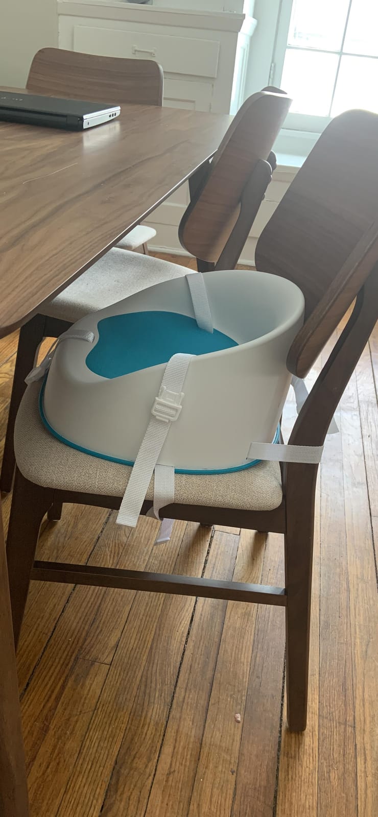 Prince Lionheart Baby Booster Squish Seat for Dining Table, Soft Seat with 3-Point Harness and Dual-Strap System for Toddler customer photo 2