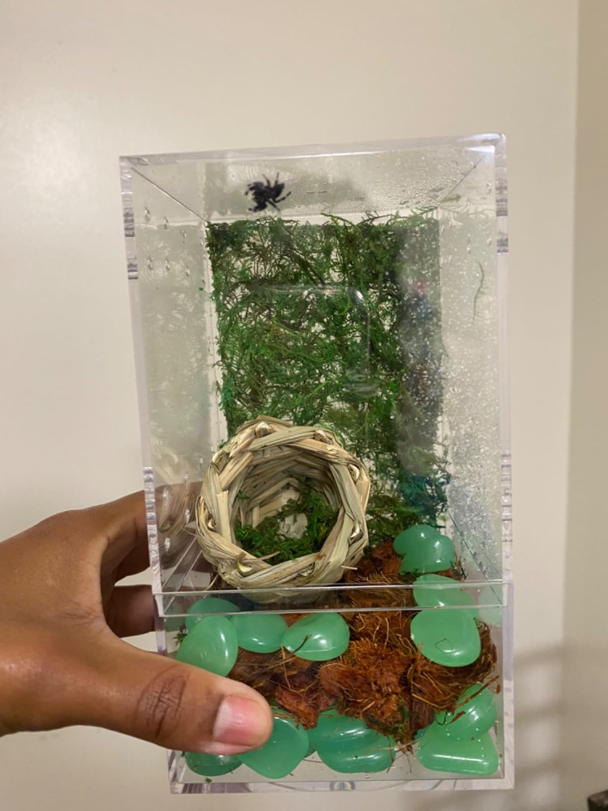 Exo Terra Coco Husk Brick, 8 QT (8.8 L) - Natural Coconut Fiber Terrarium Substrate for Reptiles, Amphibians & Tropical Enclosures customer photo 2