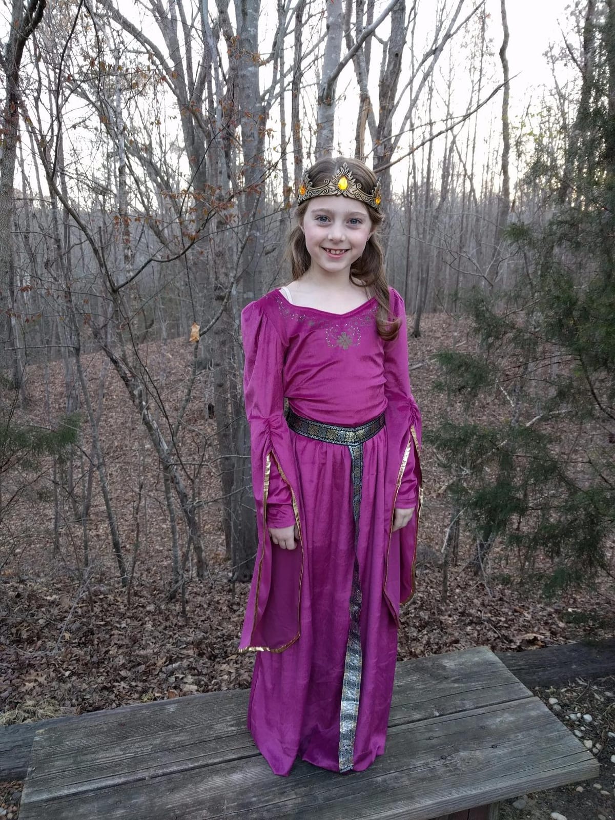 California Costumes Girls Medieval Princess Child Costume customer photo 2