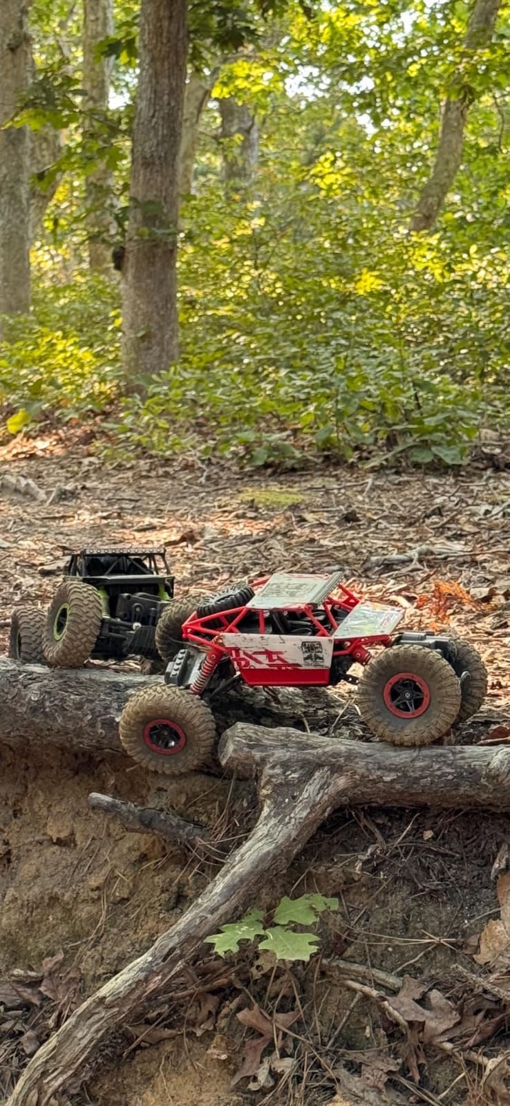 1:18 Rock Crawler 2.4Ghz Remote Control Car Off-Road Monster Truck Red customer photo 2