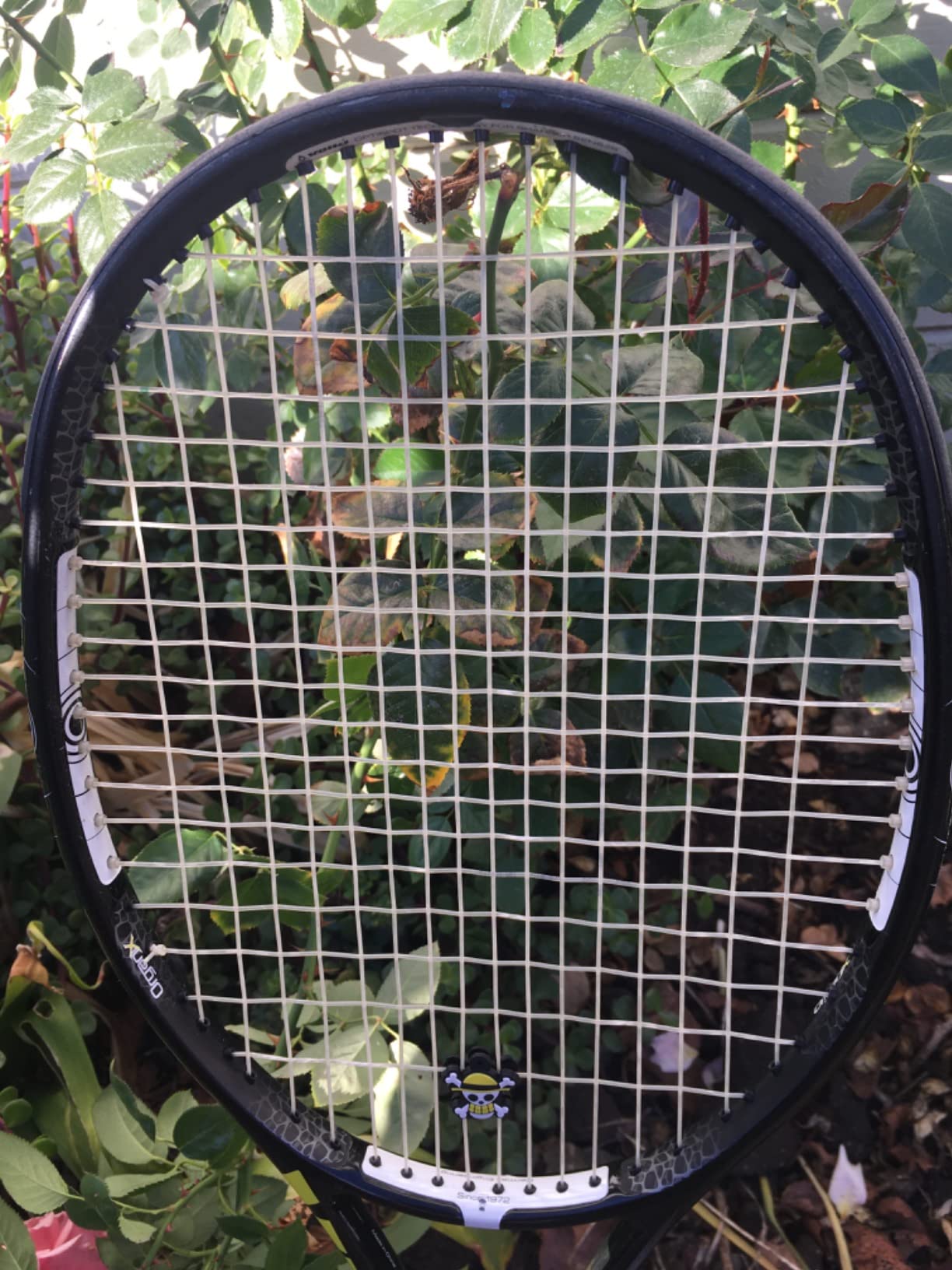Luxilon Natural Gut Tennis String - Set, White customer photo 2