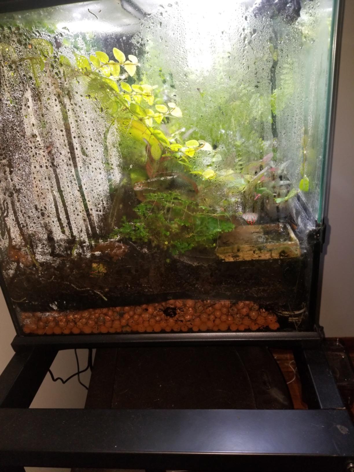 imagitarium by Petco Brooklyn Metal Tank Stand - for 40 Gallon Tanks customer photo 2