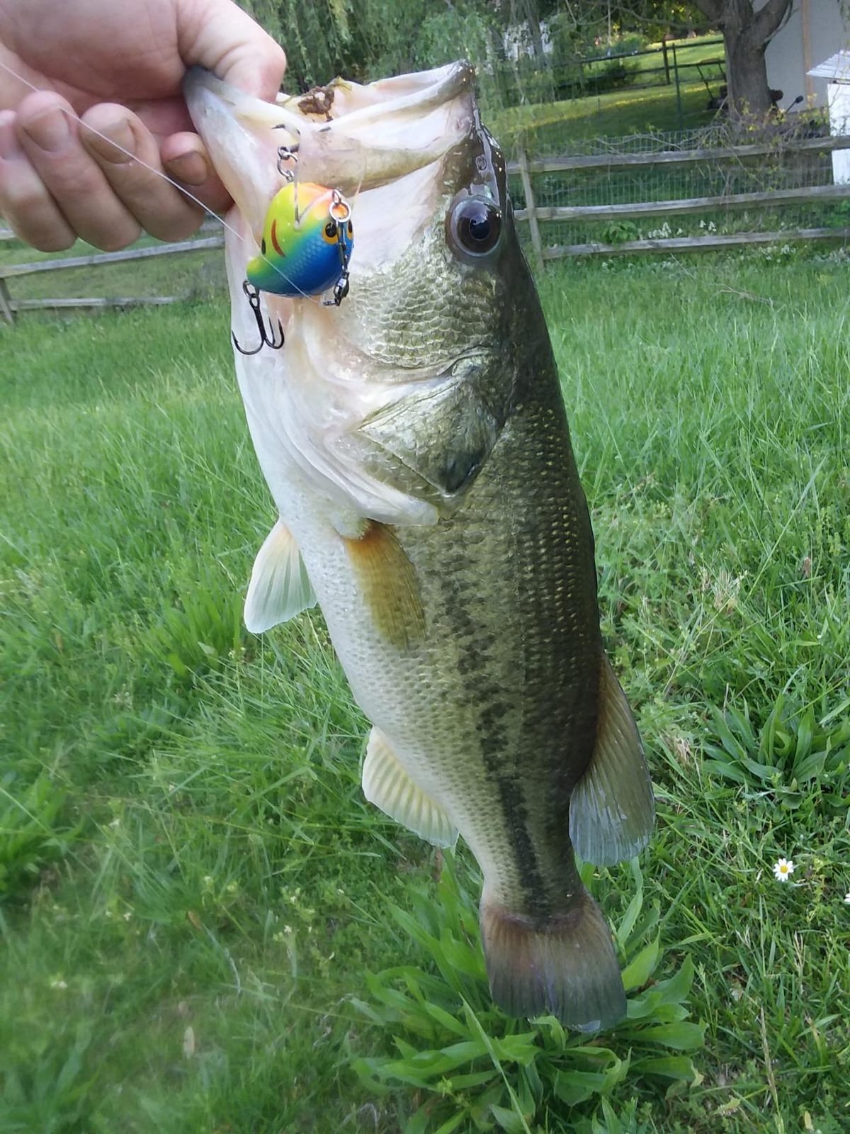 Daiwa Fuego CT Low Profile Baitcasting Reel - Aluminum CT Frame, Air Rotation System & Magforce Braking, Left/Right Hand Options customer photo 1