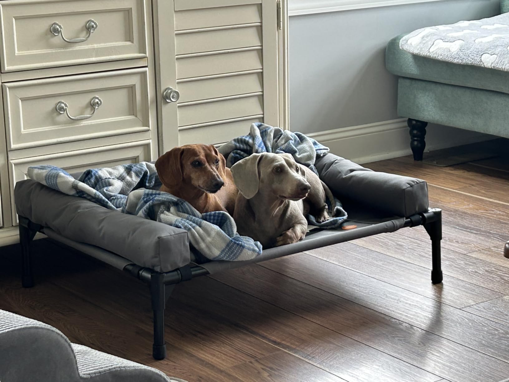 K&H Outdoor Elevated Dog Bed, Bolster Pet Cot, Medium 32x25in, Chocolate customer photo 1
