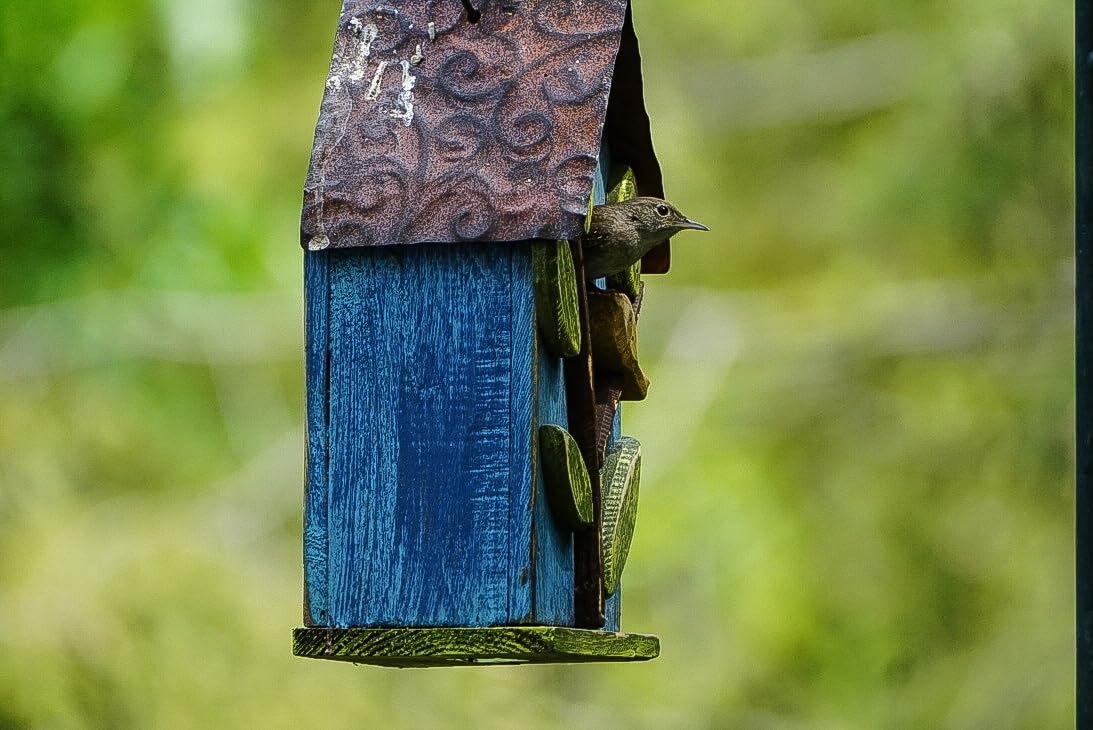 Glitzhome Bird Houses for Outside, 9.7