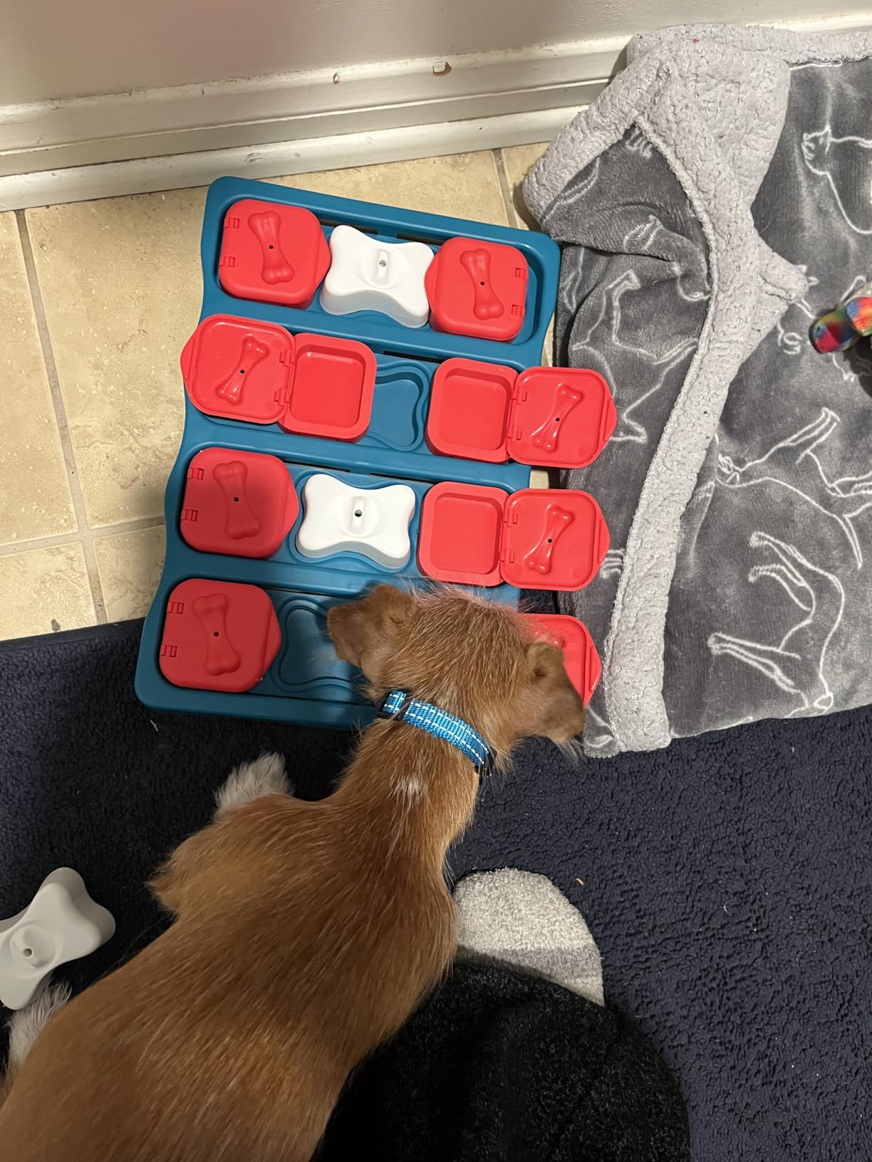 Outward Hound Nina Ottosson Dog Brick Dog Toy Treat Puzzle, 12.8
