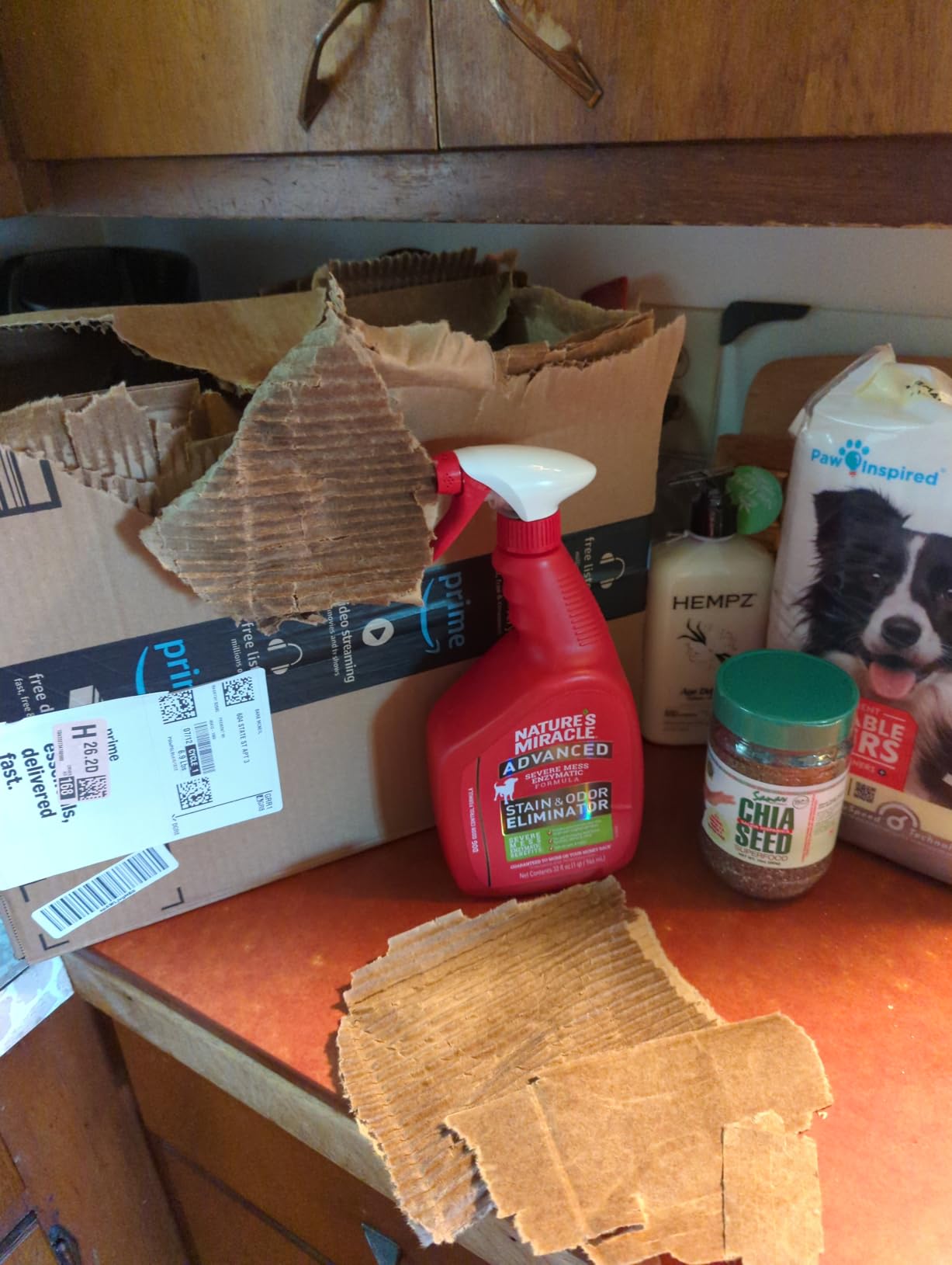 Nature’s Miracle Advanced Dog Stain & Odor Eliminator, Severe Mess, 32 oz customer photo 1
