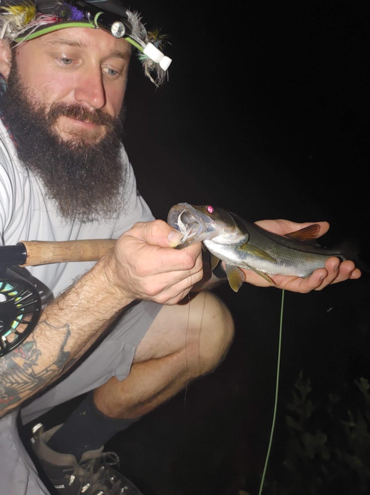 M MAXIMUMCATCH Maxcatch Predator Big Game and Saltwater Fly Fishing Rod: 7'11''/9'/9'2''/10', 4-Piece, 8/9/10/11/12 Weight customer photo 2