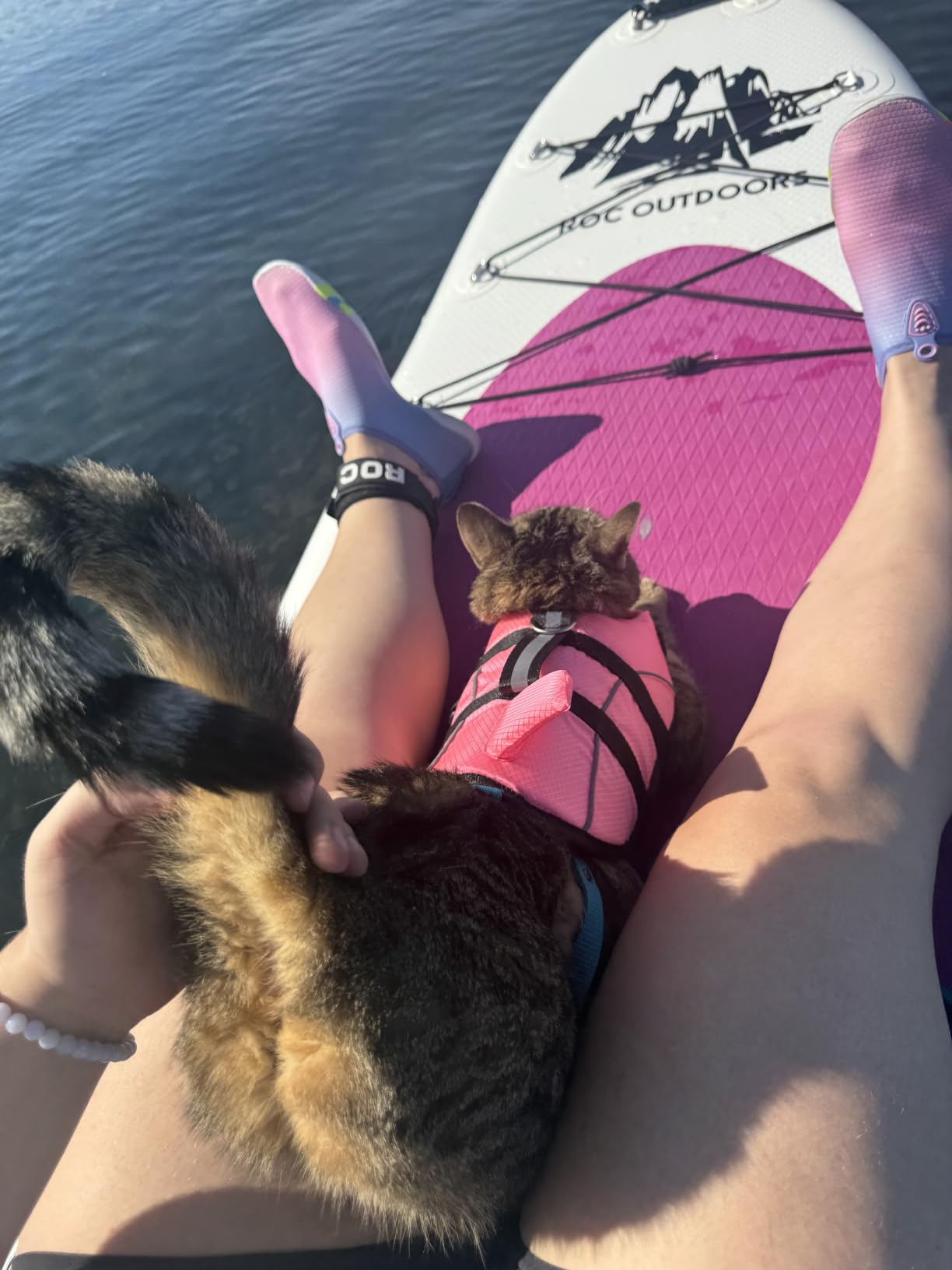 Ripstop Dog Life Jacket Shark Life Vest for Dogs, Safety Lifesaver with High Buoyancy and Lift Handle for Small and Medium Breeds(Rose Red XS) customer photo 1