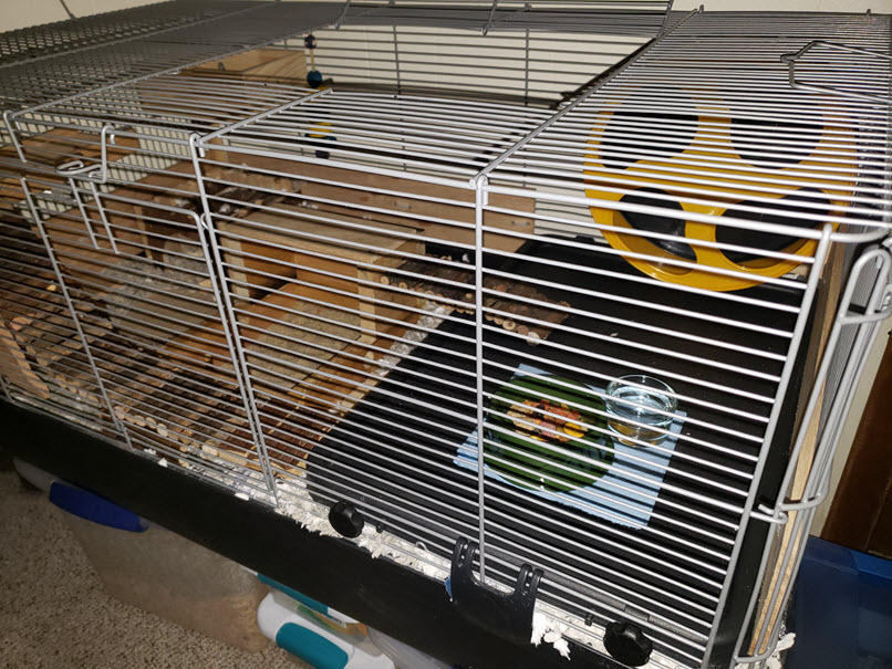 Prevue Pet Products Universal Small Animal Home for Indoor Use - Gray | Small Animal Cage for Hamsters, Guinea Pigs, Ferrets, Dwarf Rabbits, Rats, Chinchillas, & Hedgehogs, Tight Wire Spacing customer photo 2