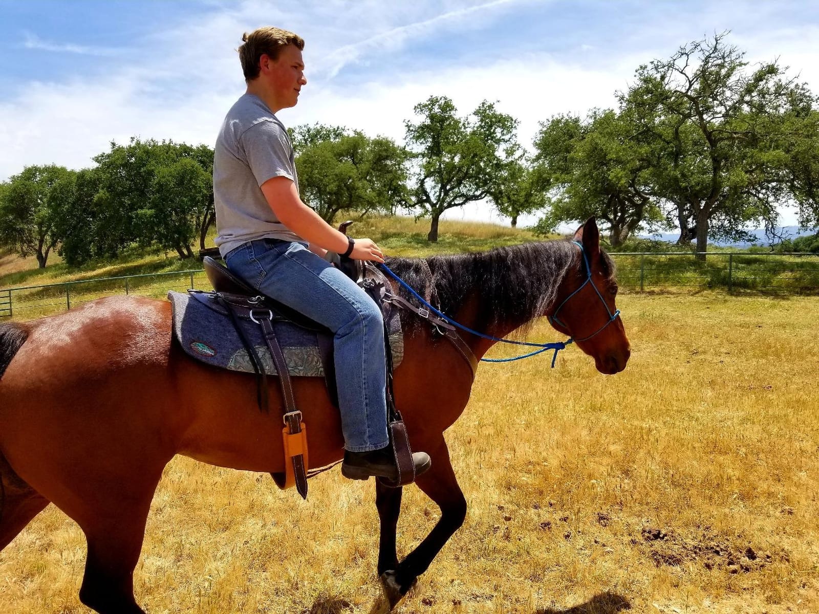 OrthoRide Correction Saddle Pad Western Saddle Pads - Made in USA customer photo 1