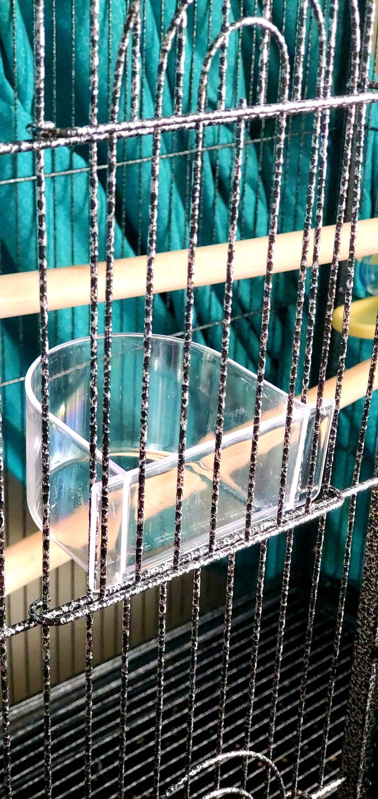ZENY 53-Inch Parakeet Bird Cage, Wrought Iron Large Parrot Flight Birdcage customer photo 2