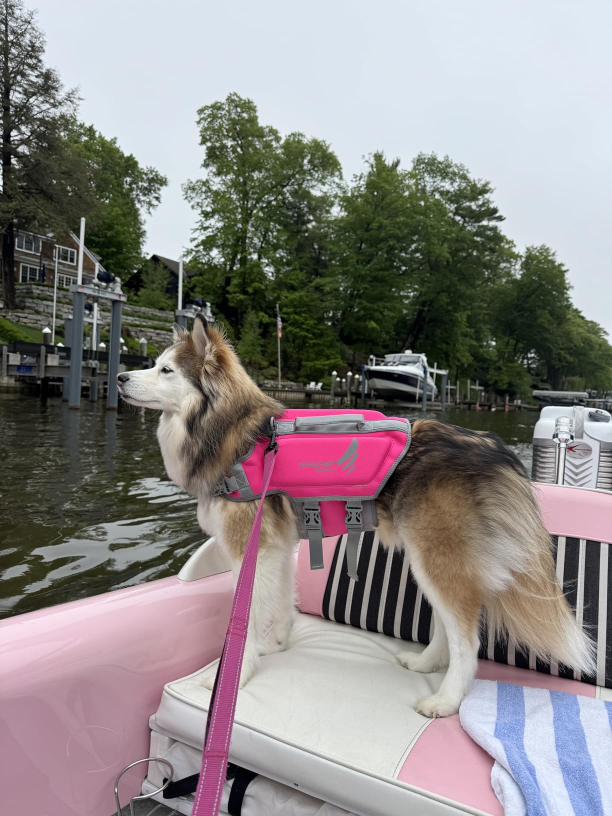 VIVAGLORY Dog Life Vest High Buoyancy Dog Swim Vest, S, Orange customer photo 1