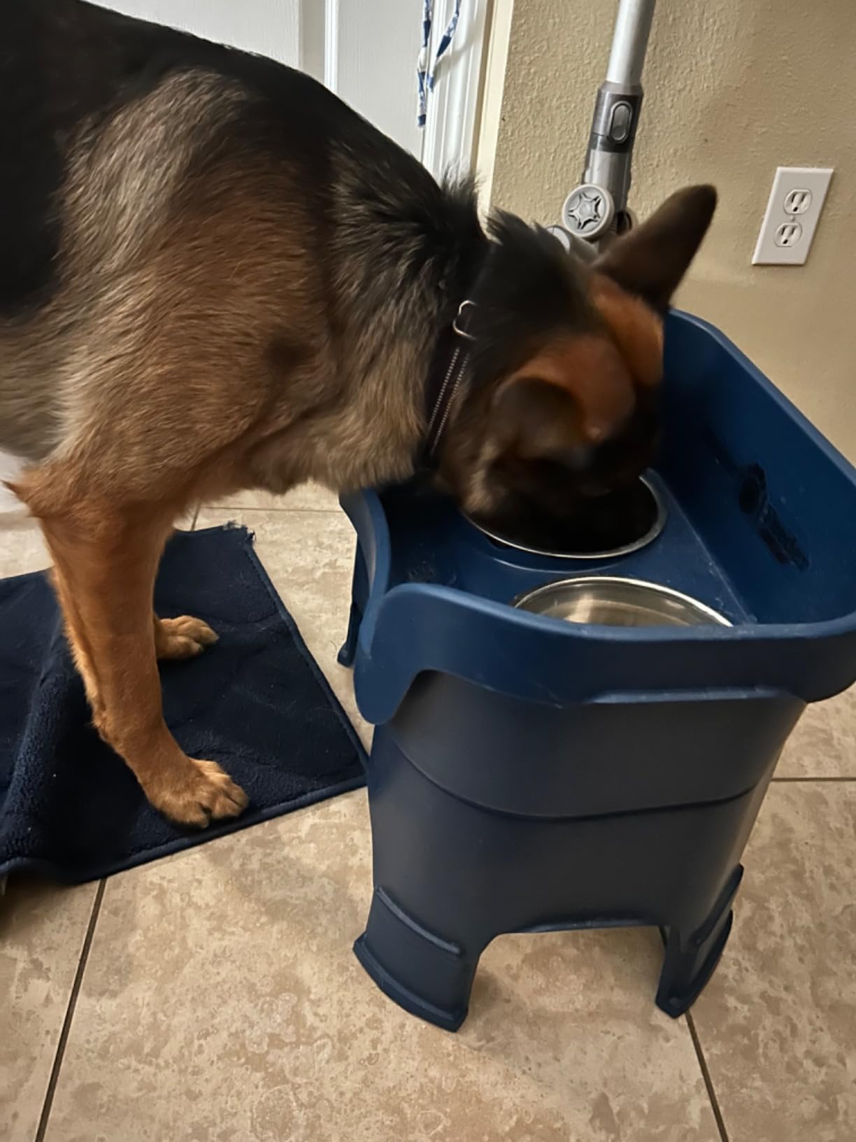 Neater Feeder Deluxe Mess-Proof Elevated Dog Bowls for Large Dogs (40+ lbs), 2 Height Adjustable (14.5” & 17.5”) No-Spill Raised Dog Bowl Stand, Stainless Steel Food Bowl Set, Made in USA, Black customer photo 1