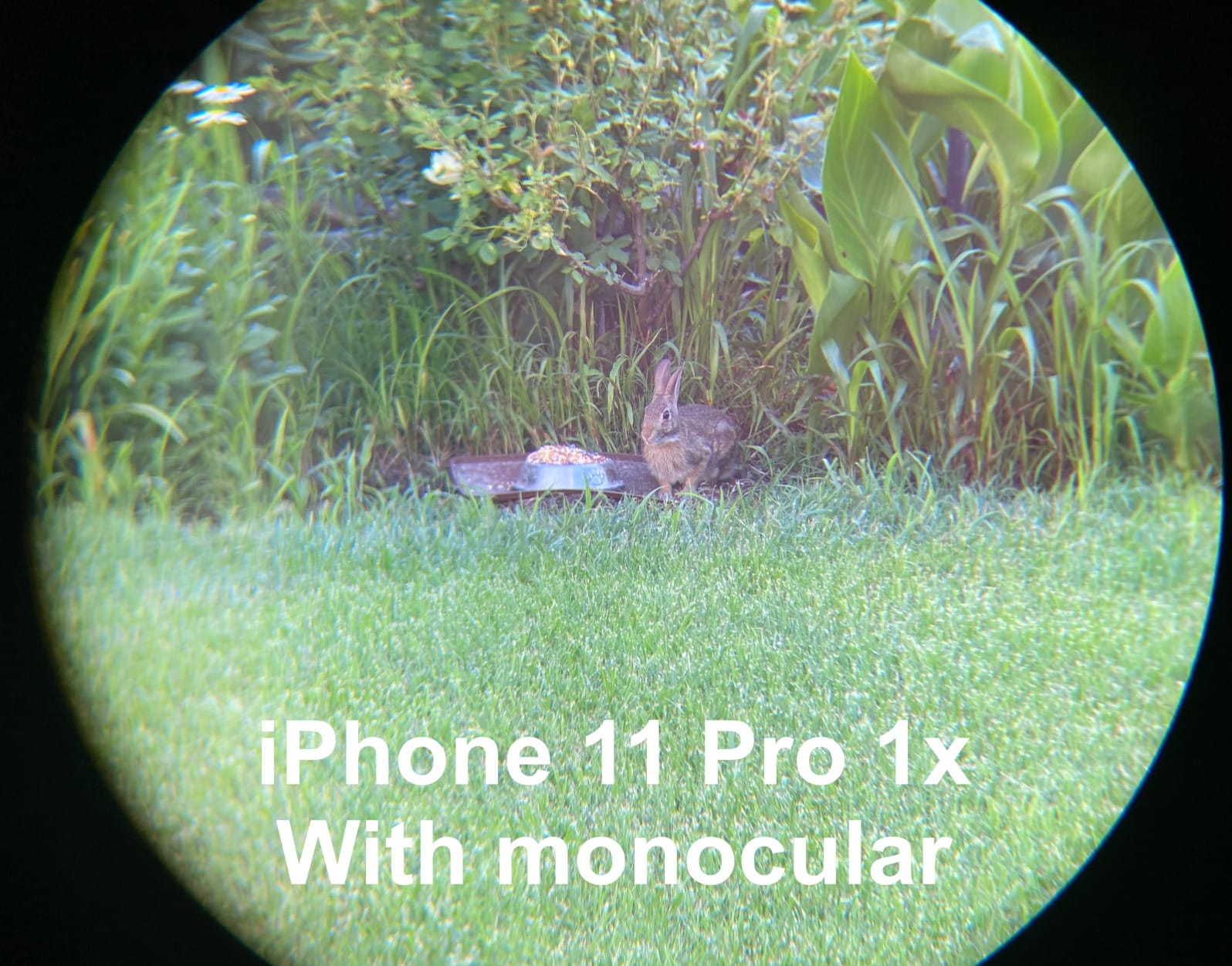 Gosky 12x55 HD Monocular Telescope with BAK4 Prism & FMC Lens, Lightweight with Smartphone Adapter - For Bird Watching, Hunting, Hiking, Traveling customer photo 2