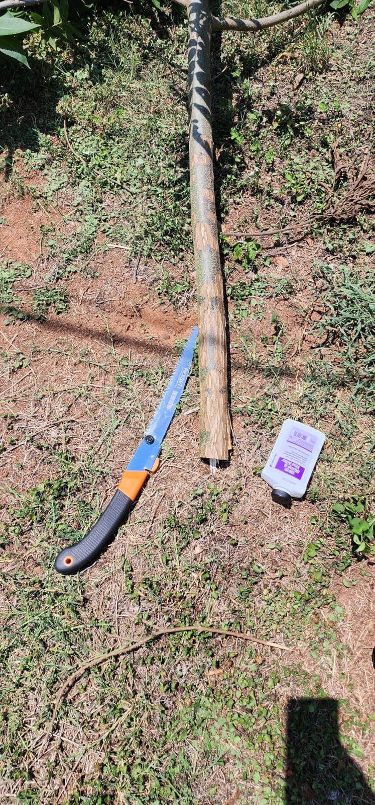REXBETI 11-Inch Folding Saw, Heavy Duty Hand Saw, SK5 Steel, 7 TPI Staggered Teeth customer photo 1