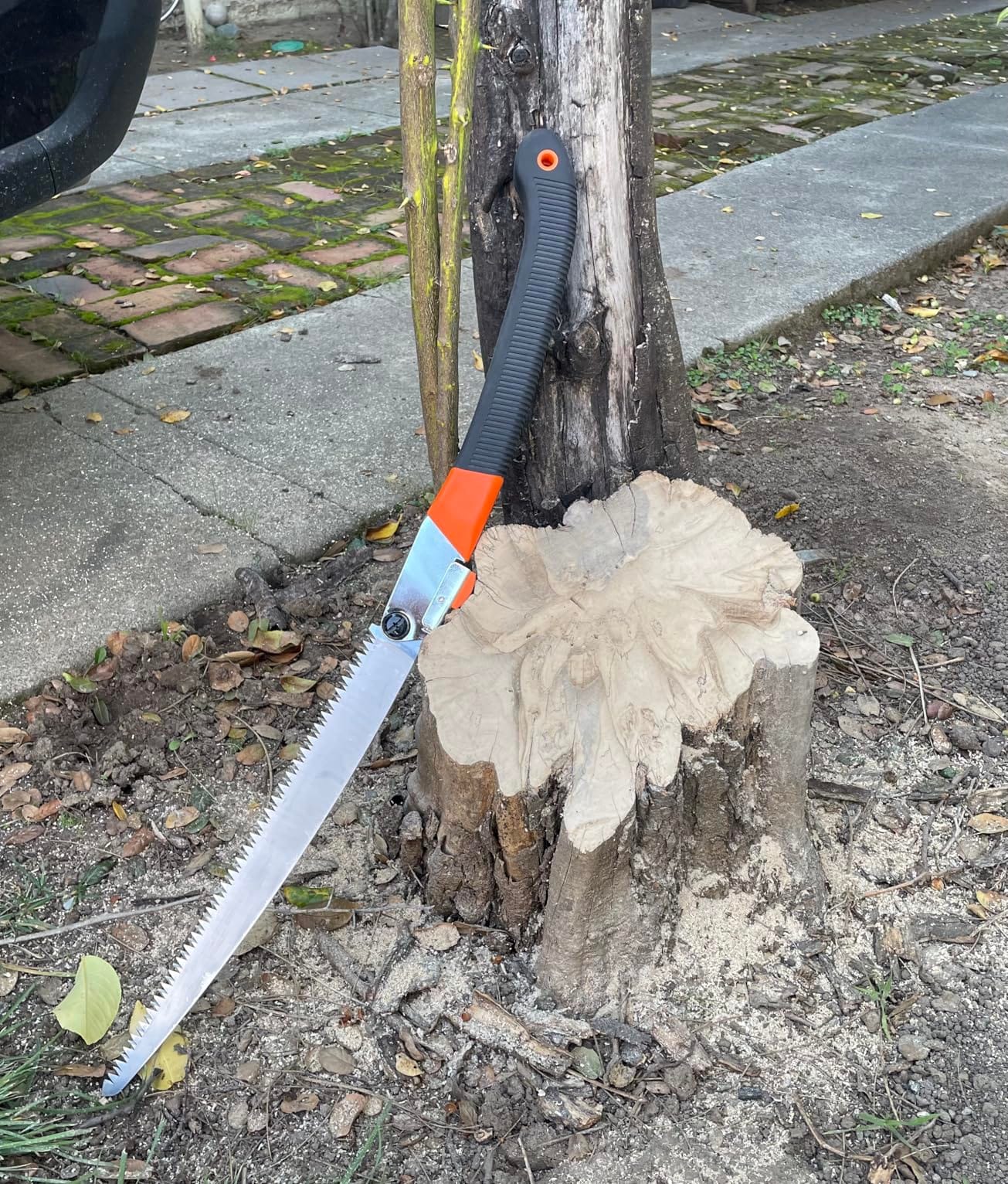 REXBETI 11-Inch Folding Saw, Heavy Duty Hand Saw, SK5 Steel, 7 TPI Staggered Teeth customer photo 2