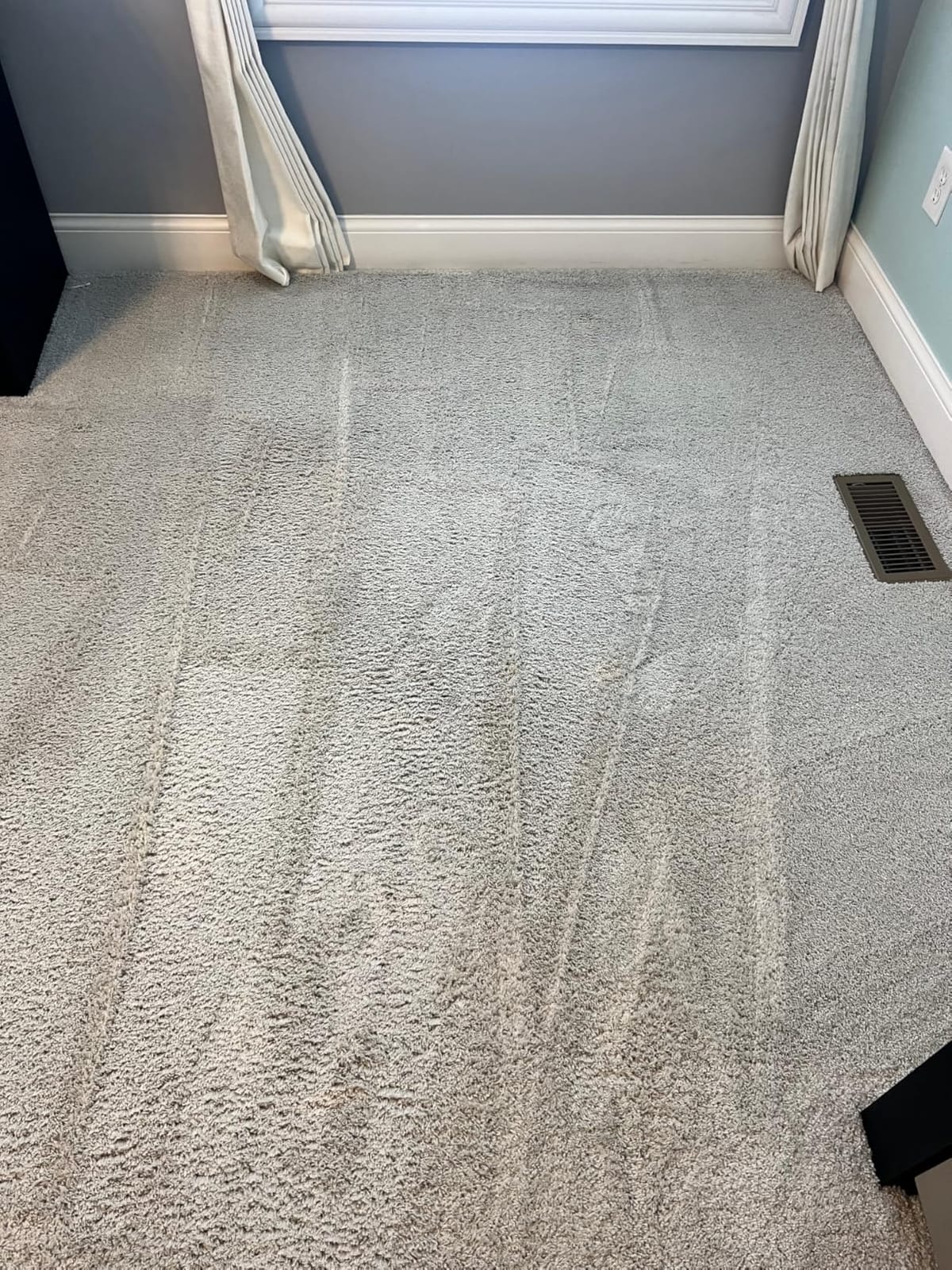 Bissell PET PRO OXY Urine Eliminator with Febreze Carpet Deep Clean Solution, with StainProtect Technology, for use in leading upright carpet cleaners, 48oz, Our best formula for pet messes & odors customer photo 1