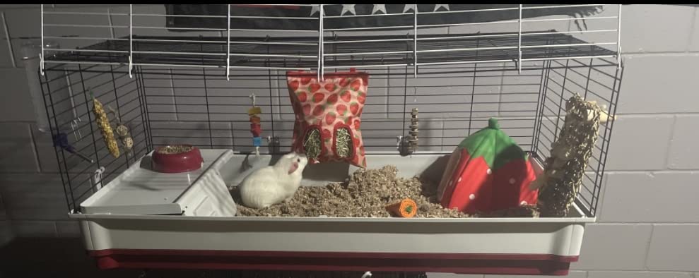 Midwest Homes for Pets Deluxe Rabbit & Guinea Pig Cage, X-Large, White & Red customer photo 1