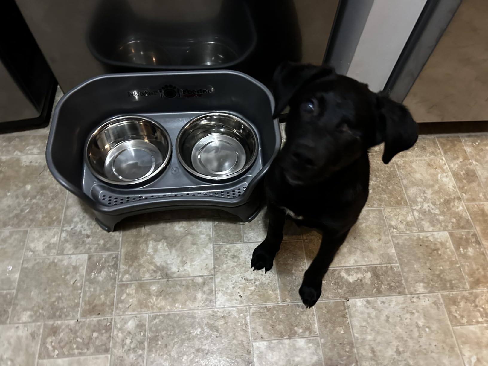 Neater Feeder Express Mess Proof Dog Bowls Elevated for Medium to Large Sized Breed, No Spill Raised Dog Food Bowl Stand, Stainless Steel Food and Water Bowl Set, Pet Dish Feeding Station, Grey customer photo 2