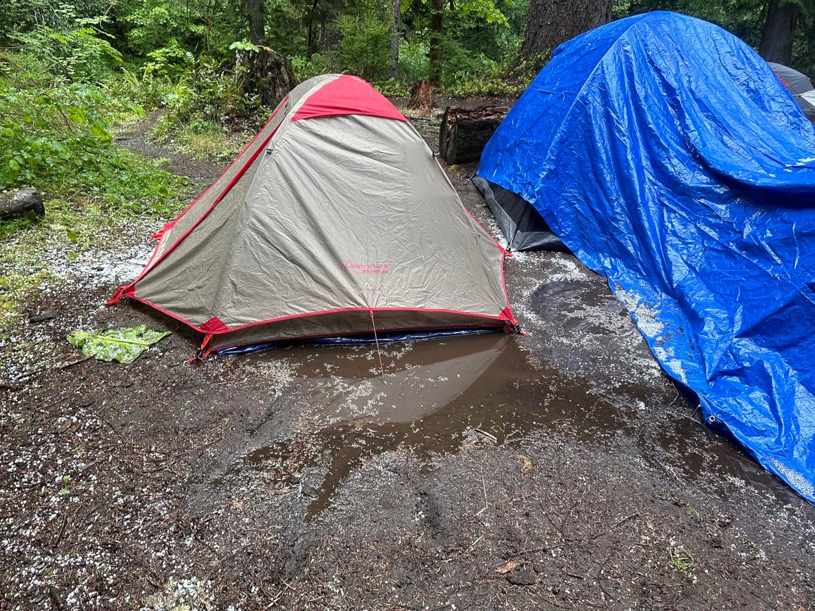 Clostnature 1/1.5/2/3/4/6 Person Lightweight Backpacking Tent, Camping Tent | Aluminum Pole, PU 5000, Easy Setup Tent, Ultralight, Durable, Waterproof, Compact, Freestanding, Two Doors, Hiking, Outdoor customer photo 2